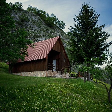 Detached House Milivoje Otel Poscenje Dış mekan fotoğraf