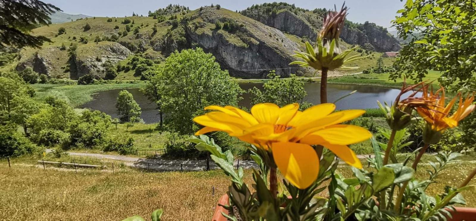 Detached House Milivoje Otel Poscenje Dış mekan fotoğraf