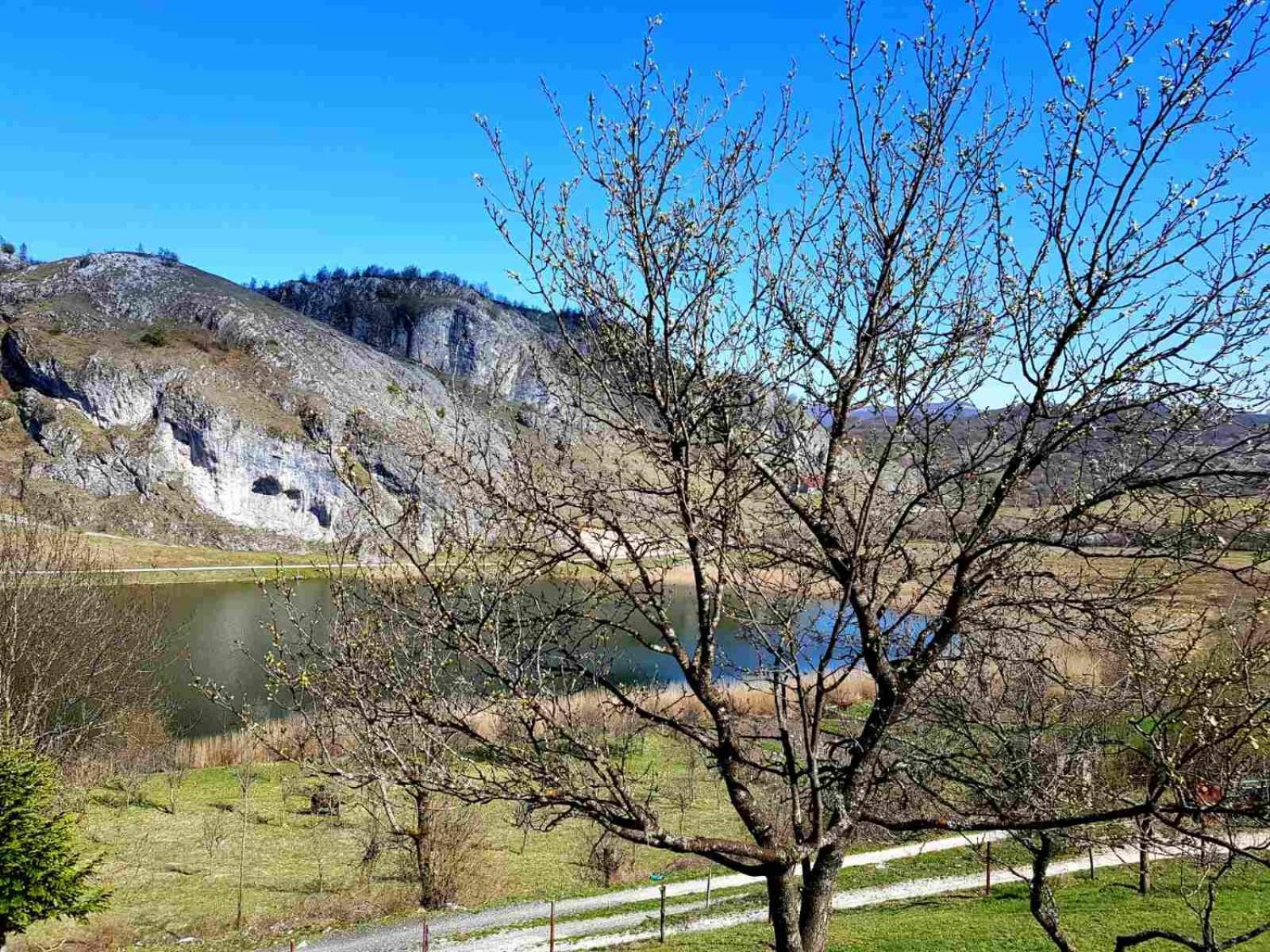 Detached House Milivoje Otel Poscenje Dış mekan fotoğraf