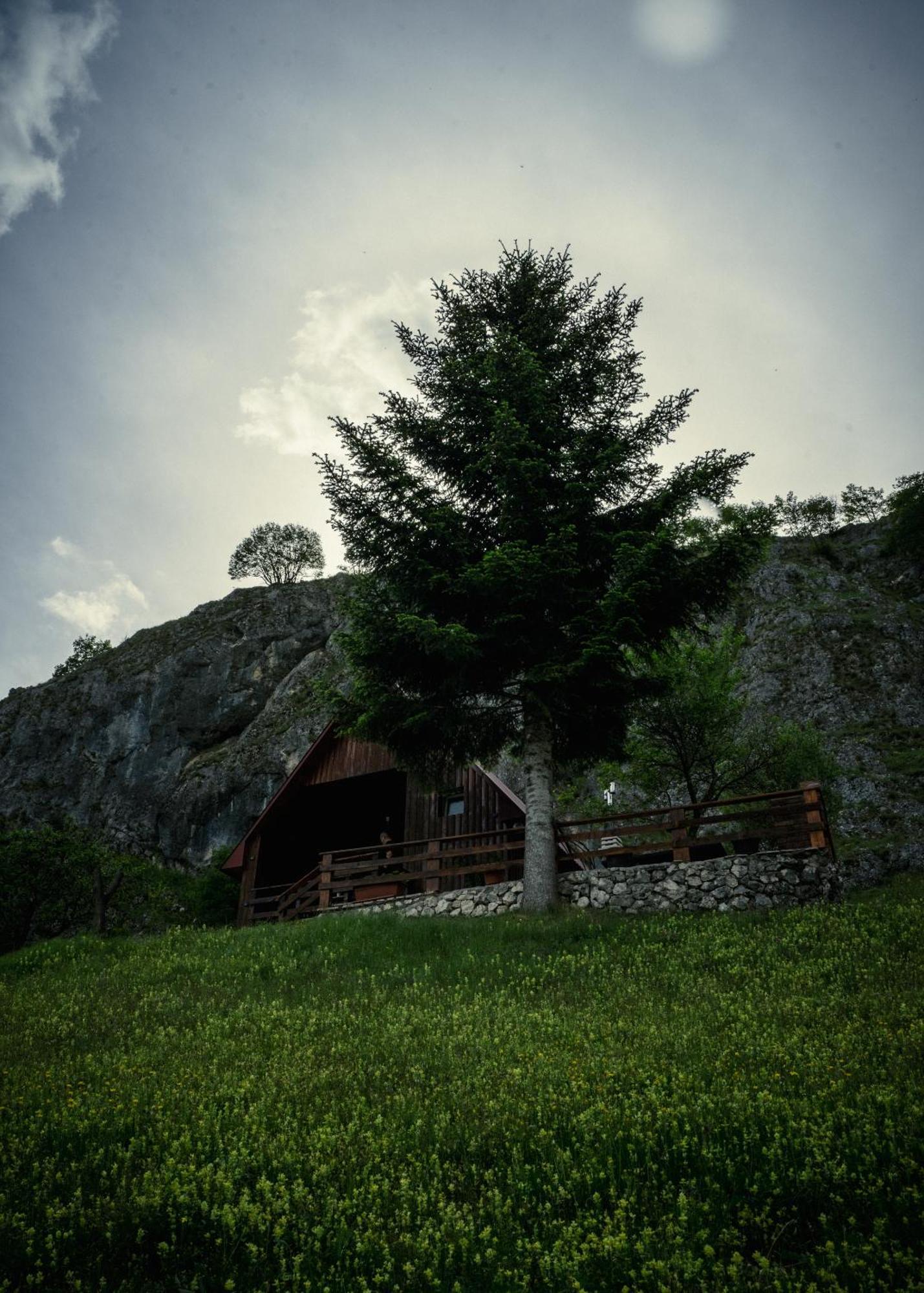 Detached House Milivoje Otel Poscenje Dış mekan fotoğraf
