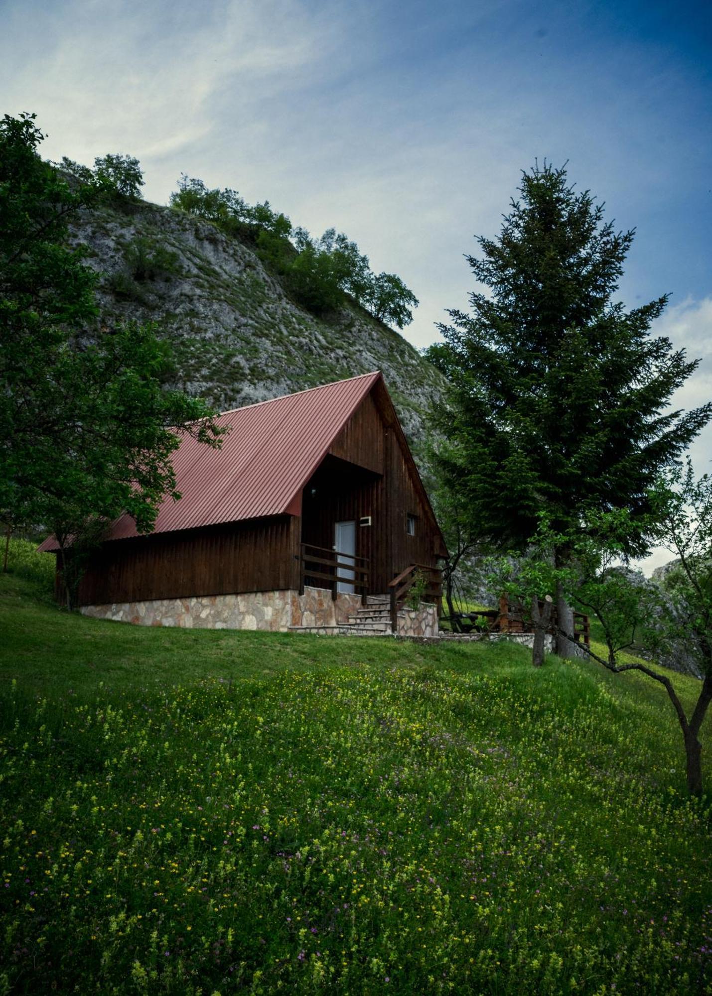 Detached House Milivoje Otel Poscenje Dış mekan fotoğraf