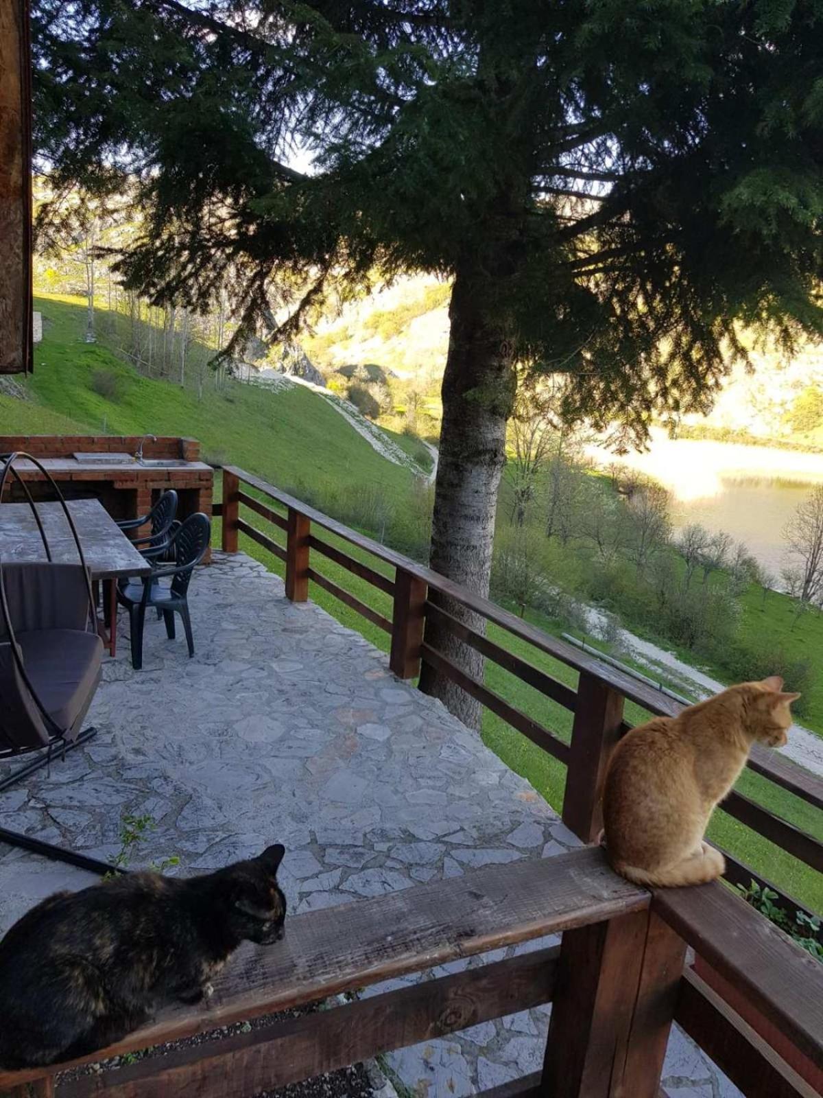 Detached House Milivoje Otel Poscenje Dış mekan fotoğraf