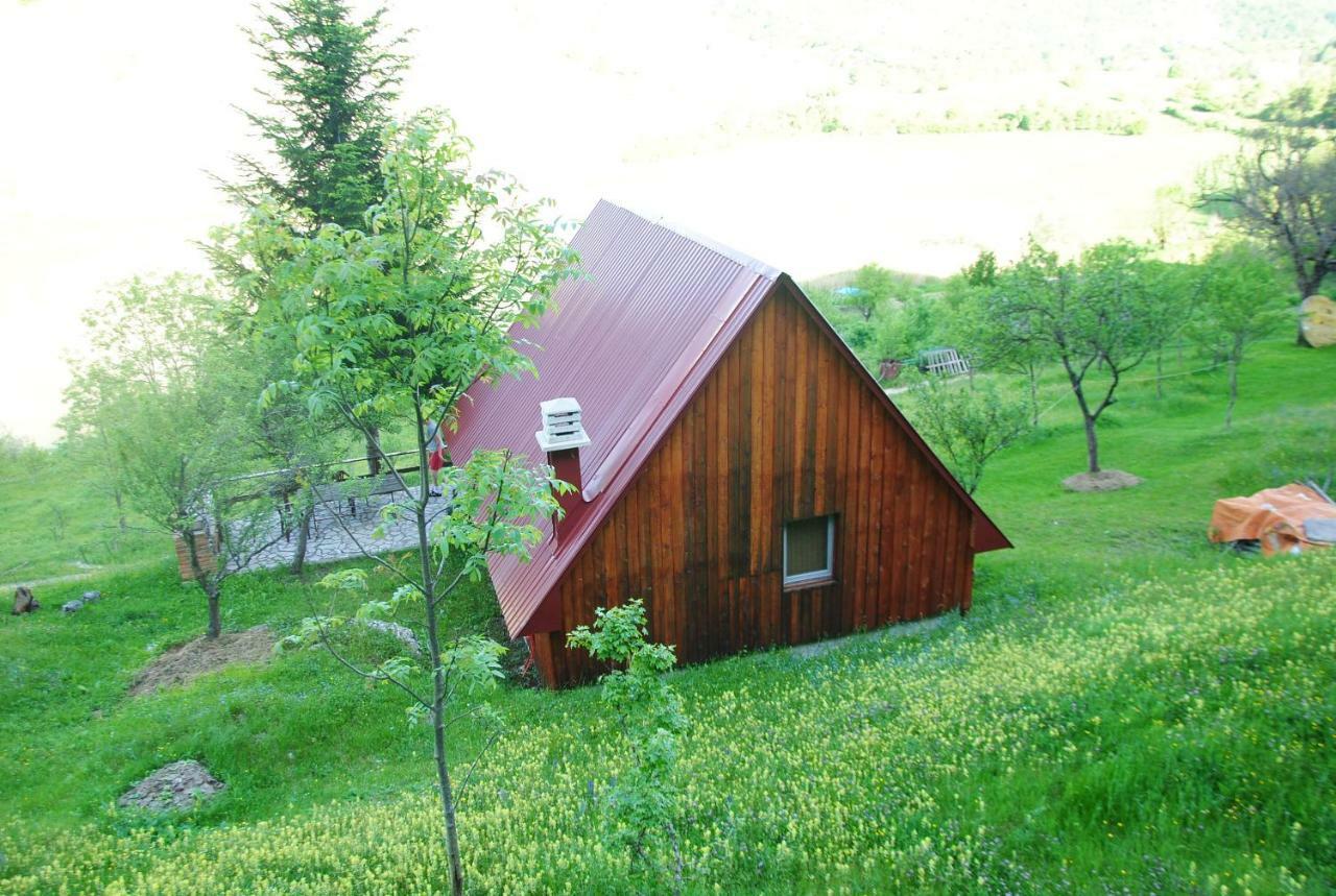 Detached House Milivoje Otel Poscenje Dış mekan fotoğraf